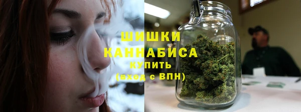 бошки Богданович