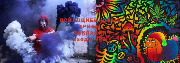 бошки Богданович