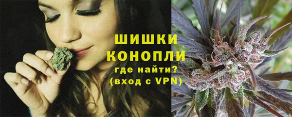 бошки Бронницы