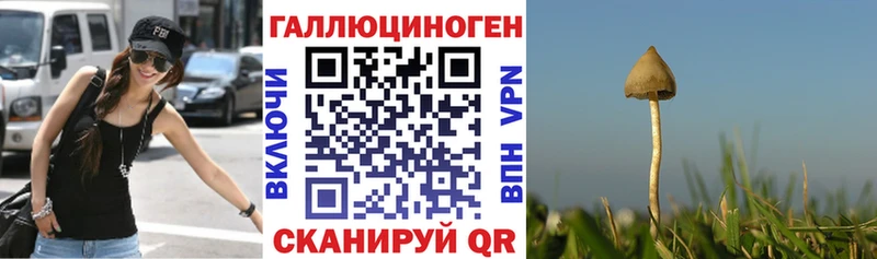 Галлюциногенные грибы мицелий  кракен tor  Верхняя Тура  наркошоп 